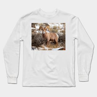 Bighorn Sheep Long Sleeve T-Shirt